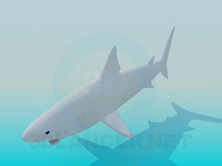 3d model Shark - preview 3d model Shark - preview