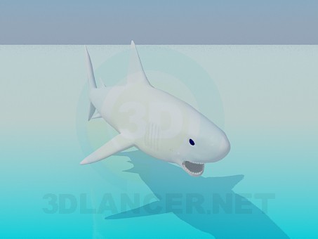3d model Shark - preview 3d model Shark - preview