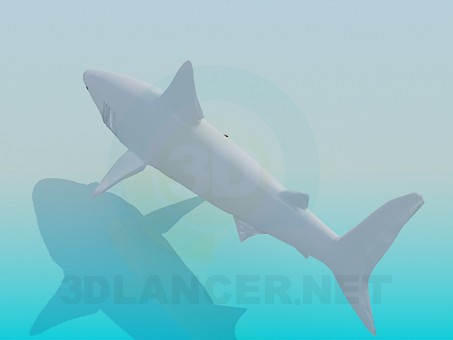 3d model Shark - preview 3d model Shark - preview