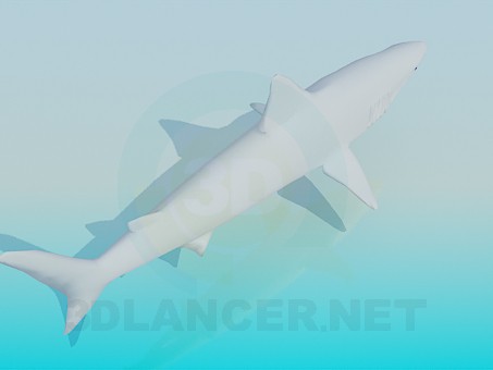 3d model Shark - preview 3d model Shark - preview
