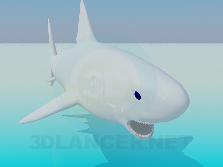 3d model Shark - preview 3d model Shark - preview