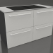 modello 3D Piano cottura a induzione large con cassetti 120 cm (grigio) - anteprima