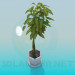 modèle 3D Pot avec plante verte - preview