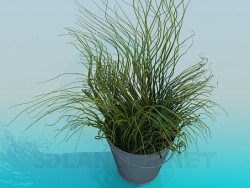 Bucket with decorative grass