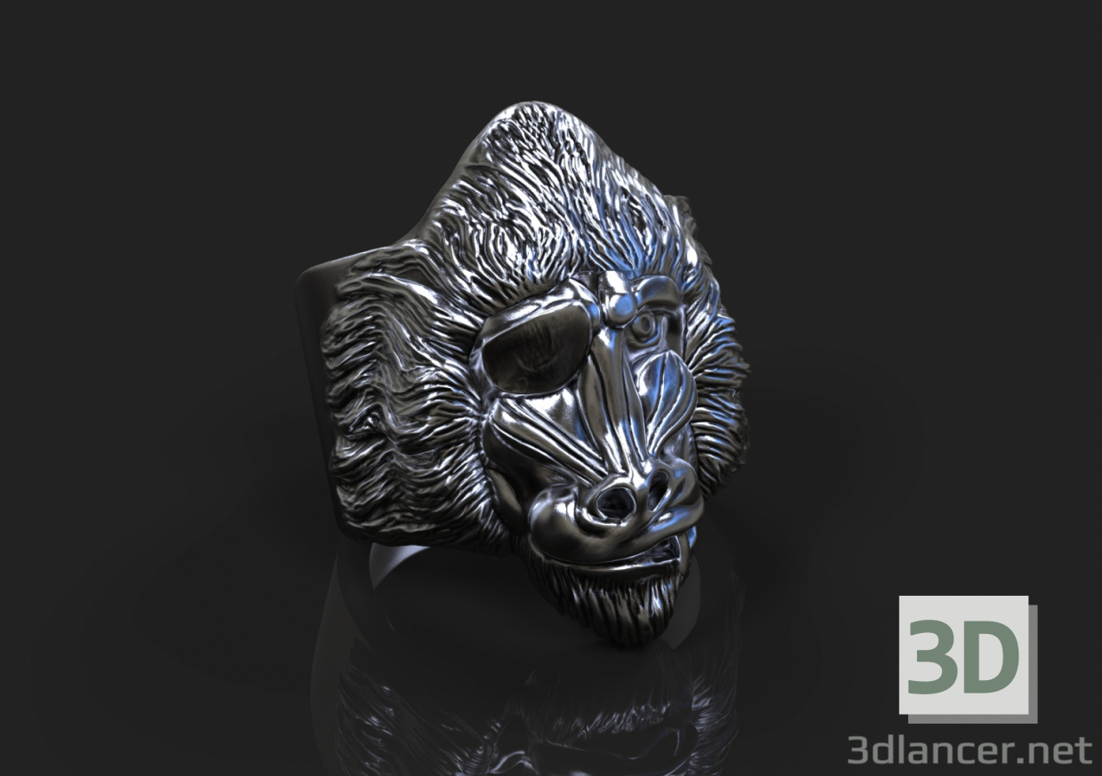 El anillo de Baboon 3D modelo Compro - render