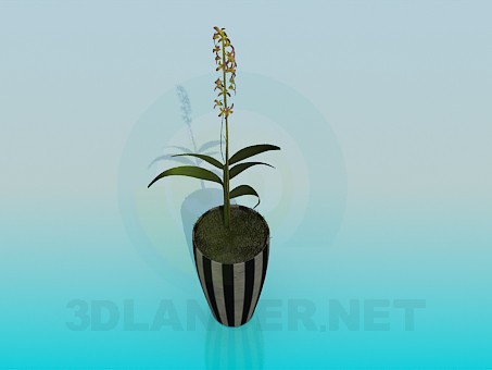 3d Model Flower Pot 3ds Free Download 3dlancer Net