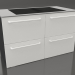 modello 3D Piano cottura a induzione large con cassetti 120 cm (bianco) - anteprima