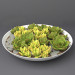 3d Succulents model buy - render
