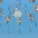 3d model Chandelier with ceiling paintings of the Zebra - preview