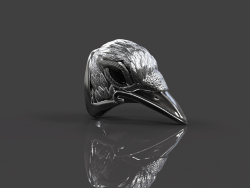 Ring of the Raven