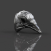 3D Kuzgunun Yüzüğü modeli satın - render