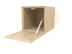Hanging shelf ST 06 (open door) (250x315x250, wood white)