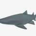 3d Tiger sand shark model buy - render