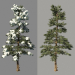 3d Winter spruce_Fir Winter model buy - render