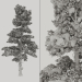 3d Winter spruce_Fir Winter model buy - render