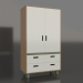 3d model Wardrobe closed TUNE HS (WGTHCA) - preview