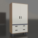 3d model Wardrobe closed TUNE HS (WITHCA) - preview
