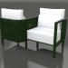3d model Tu&Yo sofa (Bottle green) - preview