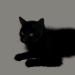 modèle 3D Chat à fourrure noire - preview