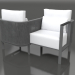 3d model Tu&Yo sofa (Anthracite) - preview
