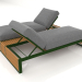 3d model Double bed for relaxation with an aluminum frame made of artificial wood (Bottle green) - preview