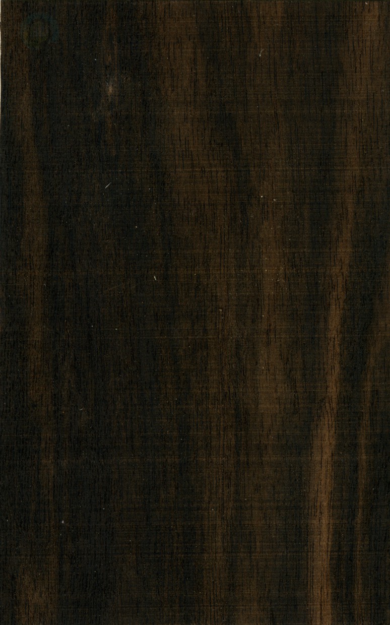 Texture wood textures free download - image Texture wood textures free download - image