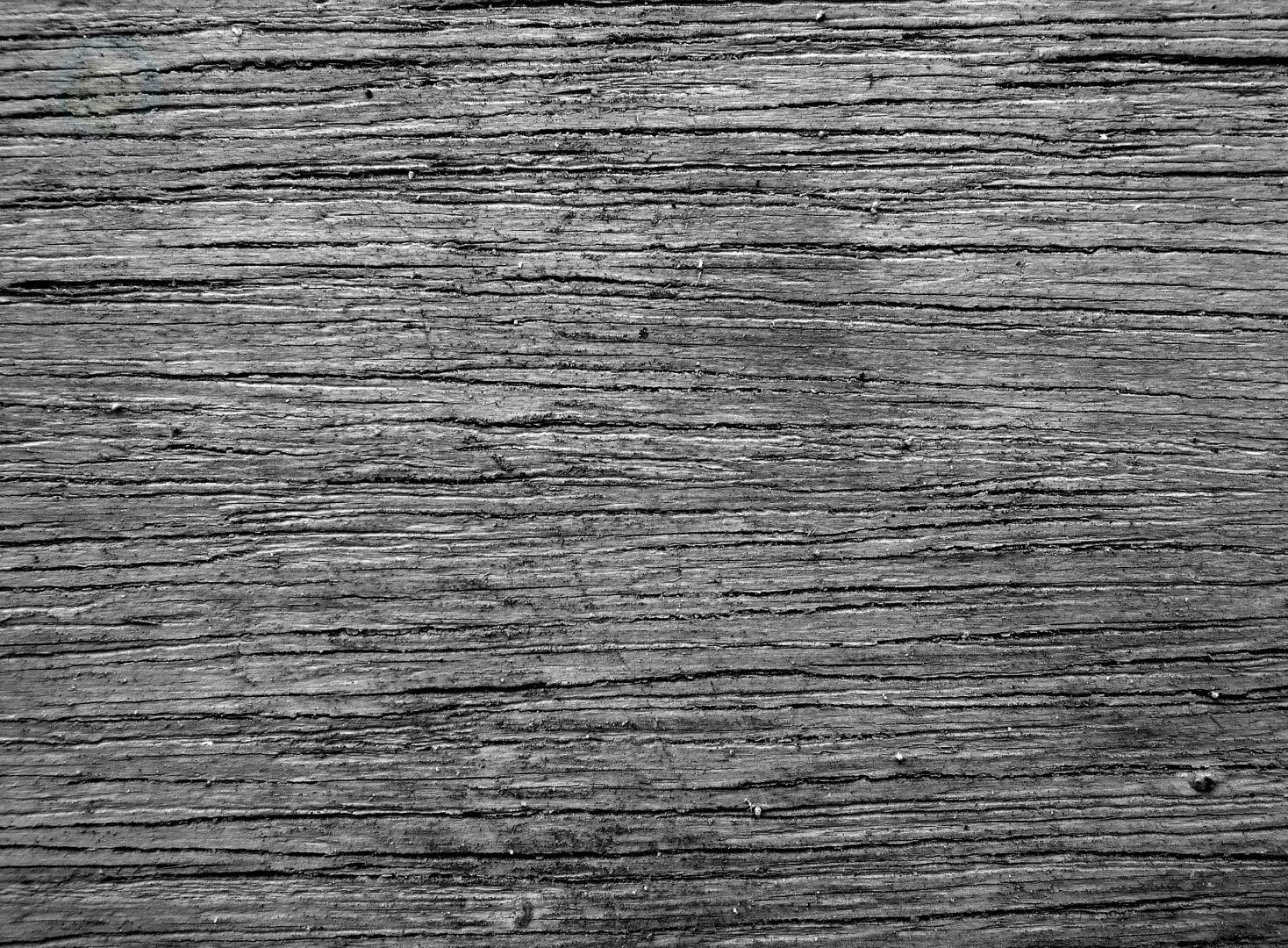 Download texture wood textures for 3d max - number 10313 at 3dlancer.net