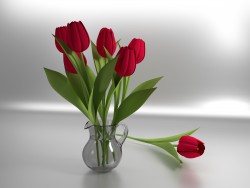 Jarro con tulipanes