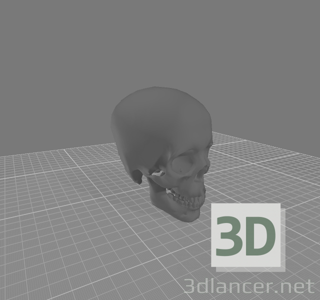 3d model skull - vista previa