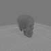3d model skull - vista previa