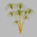 3d Papyrus plant model buy - render