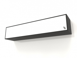 Spiegel mit Schublade ZL 09 (1000x200x200, Holz schwarz)