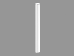 Column (body) L913 (2)