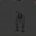 Animación de rapaces 3D modelo Compro - render