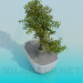 3d модель Декоративне міні-дерево – превью
