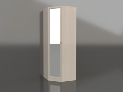 Corner wardrobe with mirror