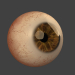 modello 3D Occhio - anteprima