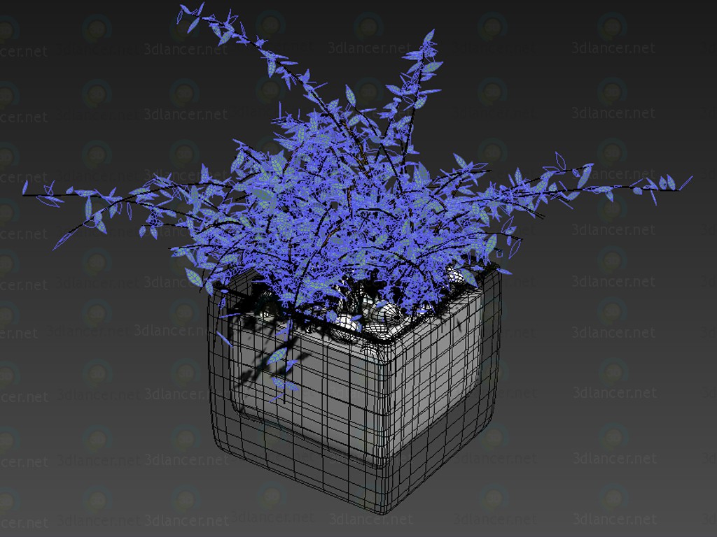 3d кімнатна рослина модель купити - зображення 3d кімнатна рослина модель купити - зображення