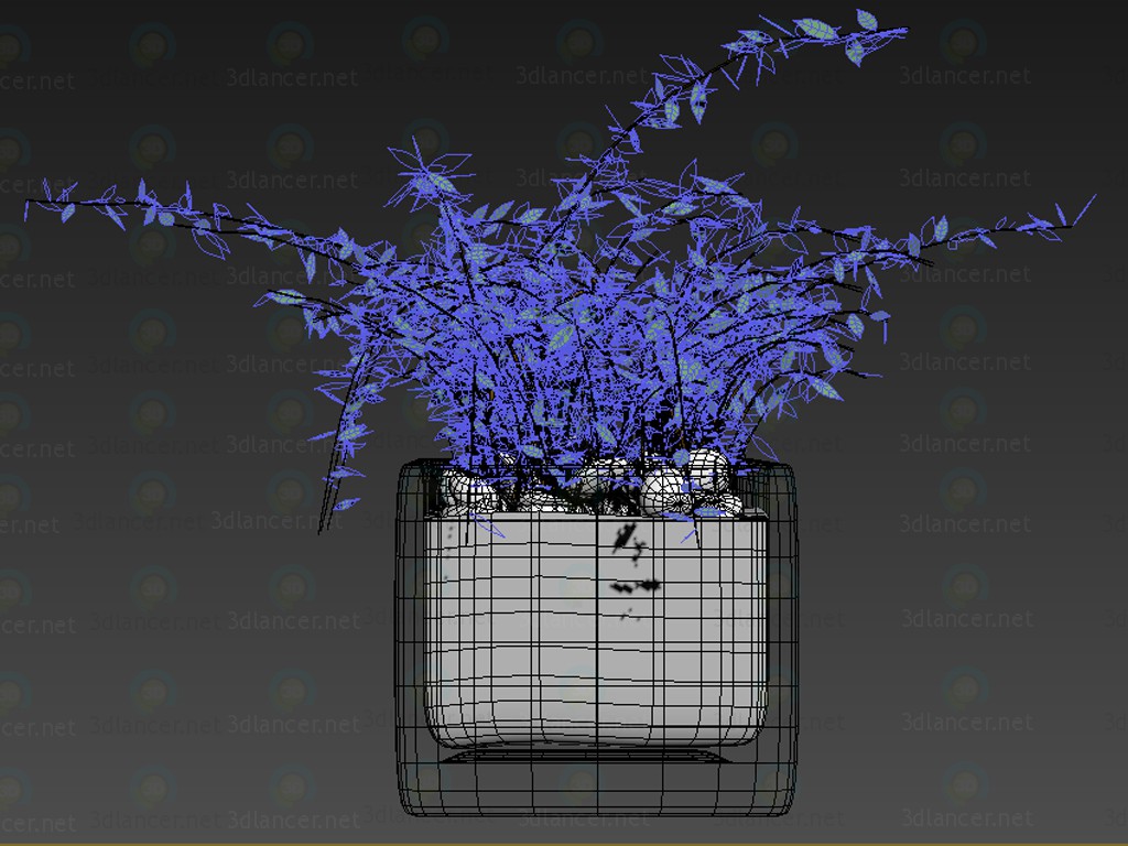 3d кімнатна рослина модель купити - зображення 3d кімнатна рослина модель купити - зображення