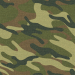 Texture tissu camouflage 38 Téléchargement gratuit - image