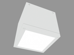 Lámpara de techo LOFT CEILING (S6675)