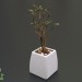Planta de interior 3D modelo Compro - render