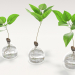 3d Vases with plants. model buy - render