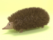 Craft Hedgehog