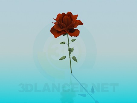 3d модель Цветок – превью 3d модель Цветок – превью