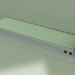 3D modeli Kanal konvektörü - Aquilo F1Т (290х1000х90, RAL 6019) - önizleme