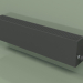 3D modeli Konvektör - Aura Slim Basic (240x1000x130, RAL 9005) - önizleme