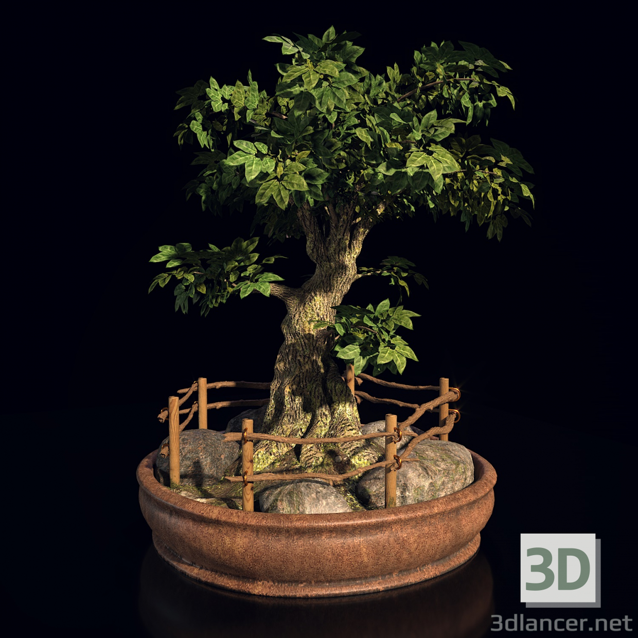 3d Bonsai tree model buy - render