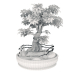 3d Bonsai tree model buy - render