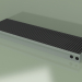 3d model Duct convector - Aquilo F1Т (290х1000х90, RAL 9005) - preview